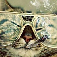 Manuel Pelaez (@mpelaez966) 's Twitter Profile