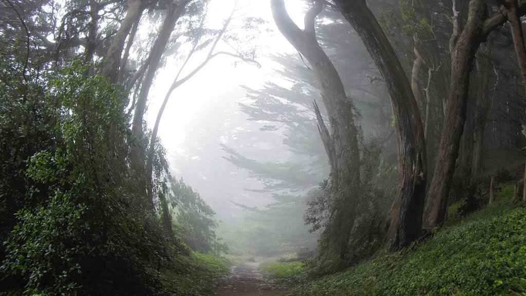 another_peasant's profile picture. 