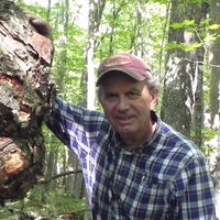 Robert Blanchette(@forestmycology) 's Twitter Profile Photo