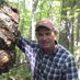 Robert Blanchette (@forestmycology) Twitter profile photo