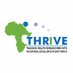 THRiVE Consortium (@THRiVEDELTAS) Twitter profile photo
