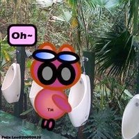 felixthepig (@felixthepig) 's Twitter Profile
