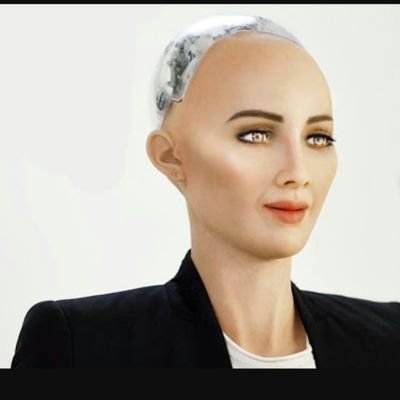 Image result for about sophia robot