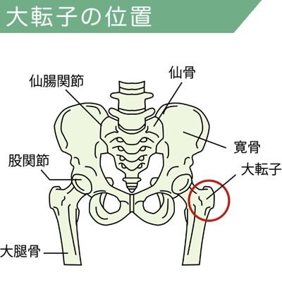 大転子か…