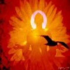 _Diroro_'s profile picture. В твитторе в основном читаю. Developer, traveler