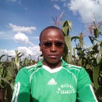 DR GACHANJAGIOCHE(@JosephGachanja) 's Twitter Profile Photo