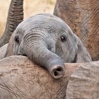 Bay Area Postgres (@bayareapostgres) 's Twitter Profile Photo Bay Area Postgres (@bayareapostgres) 's Twitter Profile Photo