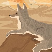 CoyoteStories (@coyote_stories) 's Twitter Profile Photo CoyoteStories (@coyote_stories) 's Twitter Profile Photo