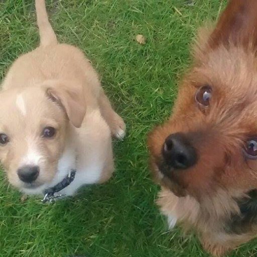 mandyaustin64's profile picture. 