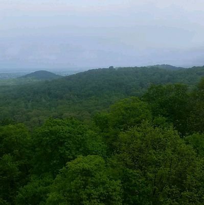 YoderMarlin's profile picture. 