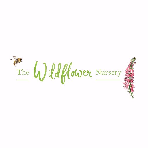 TheWildflowerNursery