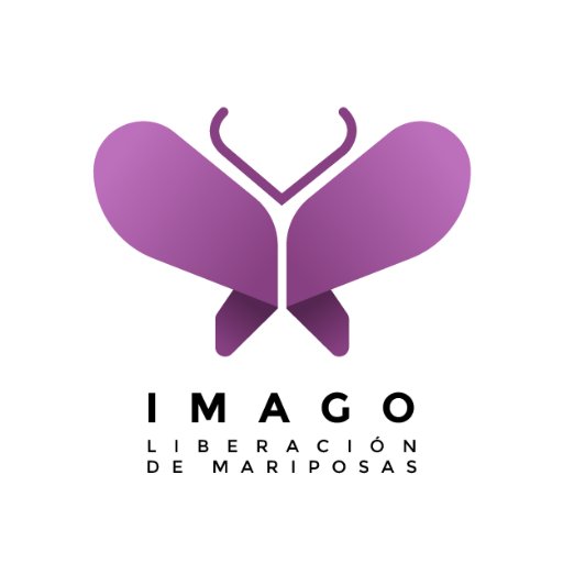 Regala momentos inolvidables, pide un deseo y libera una mariposa.
https://t.co/XgAFfH9Mkw