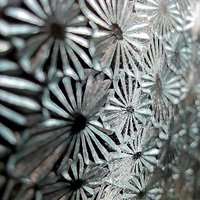 Janice Kirkwood (@jkirkwoodly) 's Twitter Profile Photo