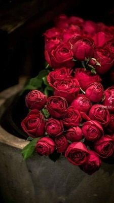 Mohameddgdn's profile picture. La vie est belle, il faut juste savoir la vivre.