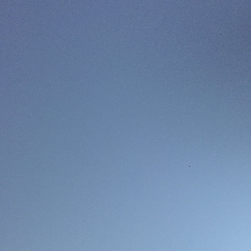 fafadiqui's profile picture. E poi seeee..quasi +21