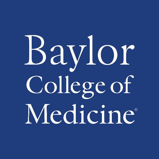 BCMHouston_News Profile Picture