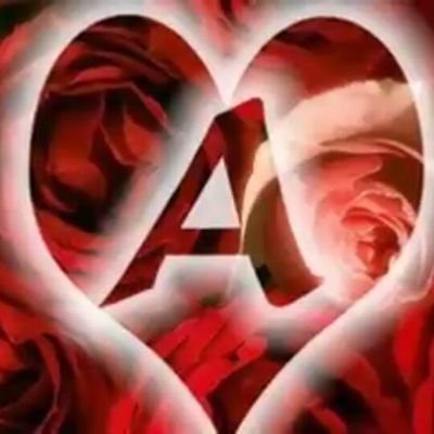 Jpqgq4n1gHWHK1V's profile picture. ❤