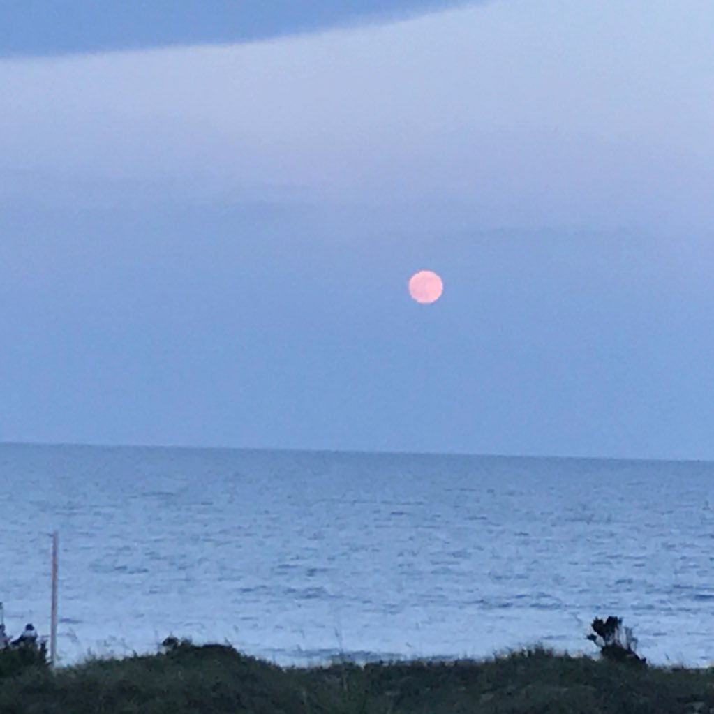 chupieandjsmama's profile picture. Wife, Mother, Catholic, Food Allergy Advocate, Tribe Fan