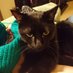 Emma McC (@knitty_cat) Twitter profile photo Emma McC (@knitty_cat) Twitter profile photo