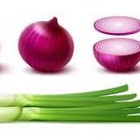 the Data Onion (@thedataonion) 's Twitter Profile