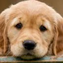 Leidy.. Ramirez - @L3idyKarolina - Twitter