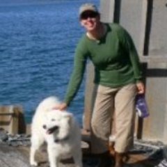 considerthefork's profile picture. 