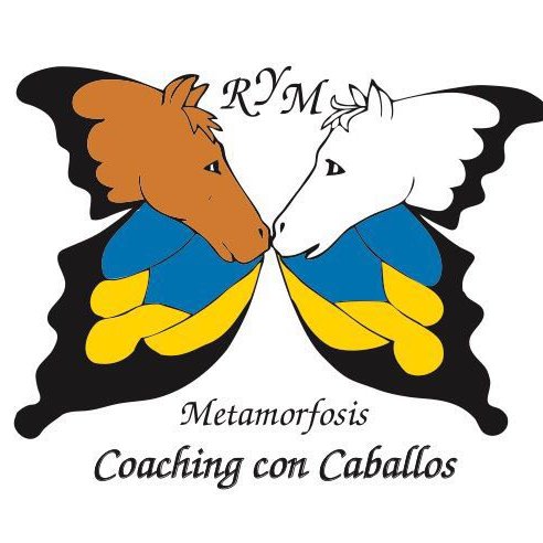 Apasionada de las relaciones humanas, de los caballos , Coaching , crecimiento personal e inteligencia emocional.