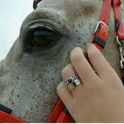 ‏‏‏ﺭﺍﺿﻴﻬﮧ'ﻩ ) ﺏَ ( ﺁﻻﻗَﺪﺍﺭ
ﻟﯛ )ﺣﺎﻟﺘﻲ ( ﺣﺎﻟﮧ'ﻩ *