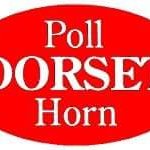 Dorset Sheep (@dhpdsba) 's Twitter Profile