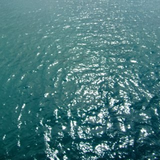 Panaco's profile picture. 