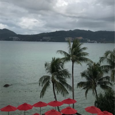 Einas_M_Abdulah's profile picture. 