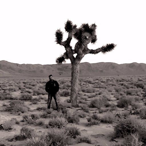 Johnyair's profile picture. Film & TV Director