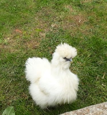 Flore352's profile picture. pôle professionnel de St Malo. Crédit Mutuel de Bretagne.  Groupe Arkea.