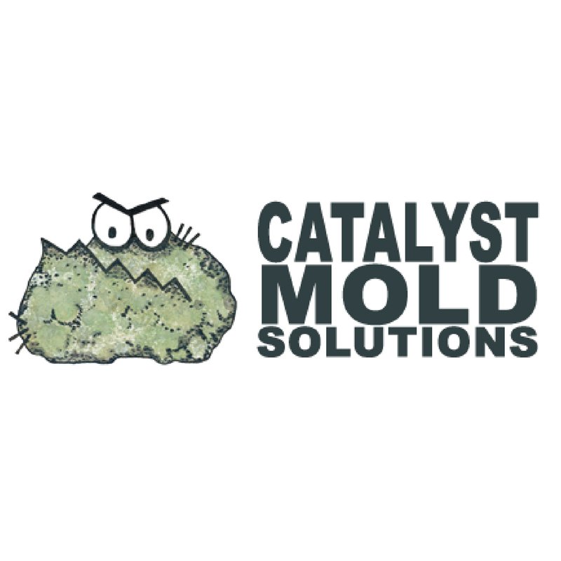 Your Permanent Solution to Mold!