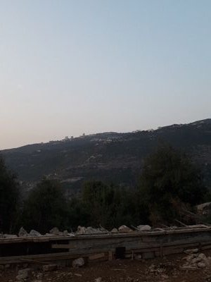 asmar_lahib's profile picture. 