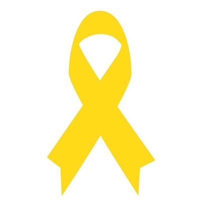 Coordinadora FP. Orientadora i assessora FP.
La meva passió: FP, Ensenyaments esportius, Arts plàstiques i disseny, Idiomes, Dansa i Música
