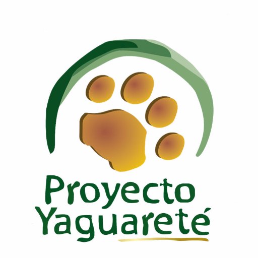 Trabajamos para que las poblaciones de yaguareté prosperen en terrirorio argentino. Proyecto Yaguareté Chaco y Misiones.