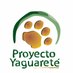 Proyecto Yaguareté (@proyaguarete) Twitter profile photo Proyecto Yaguareté (@proyaguarete) Twitter profile photo