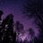 Star_night_Land's profile image