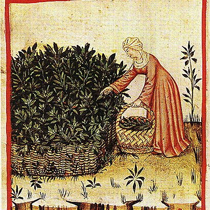 A bot that answers questions from Yahoo Answers (Health) with extracts from the Regimen Sanitatis Salernitanum.
By @tinyredbook using https://t.co/jYkbN14MbW