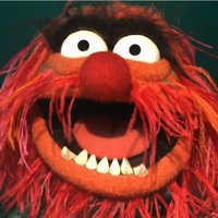 Craig Thompson (@craigpthomp) 's Twitter Profile Photo