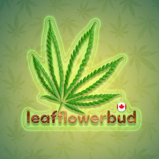 At Leaf Flower Bud we are seeking to educate people about the positive effects of cannabis and reduce the stigma around those who use it.