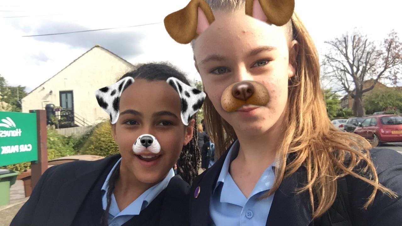 Niquasmith_417's profile picture. ❤️acting😜singing,👑Dove Cameron( my idol)🌏family my world⭐️Miranda sings🌸emmerdale💎😊Emily head🦄descendants 1&2(my fave)

Suicide squad
Harley Quinn