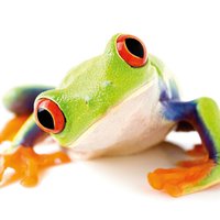 voice-design (@voice_design) Twitter profile photo