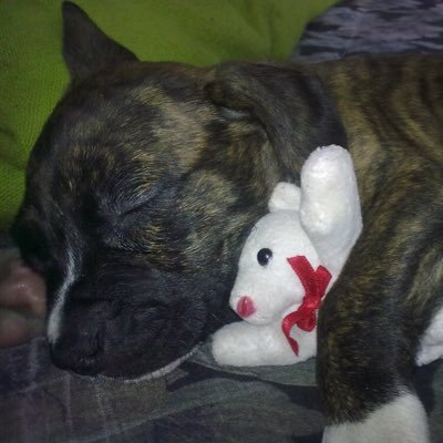 Maluzgasa's profile picture. 