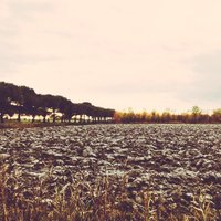VEiL Project (@veilproject) 's Twitter Profile
