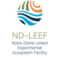 ND-LEEF(@NDLEEF) 's Twitter Profile Photo