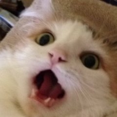 I'm happy to help. Sterling Hasan
deusdemo_silence on Twitch
https://t.co/GFDFXA9mVZ