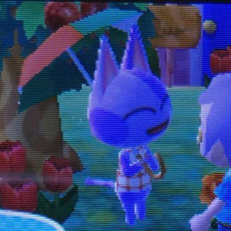 gooyang_i's profile picture. they/them 27