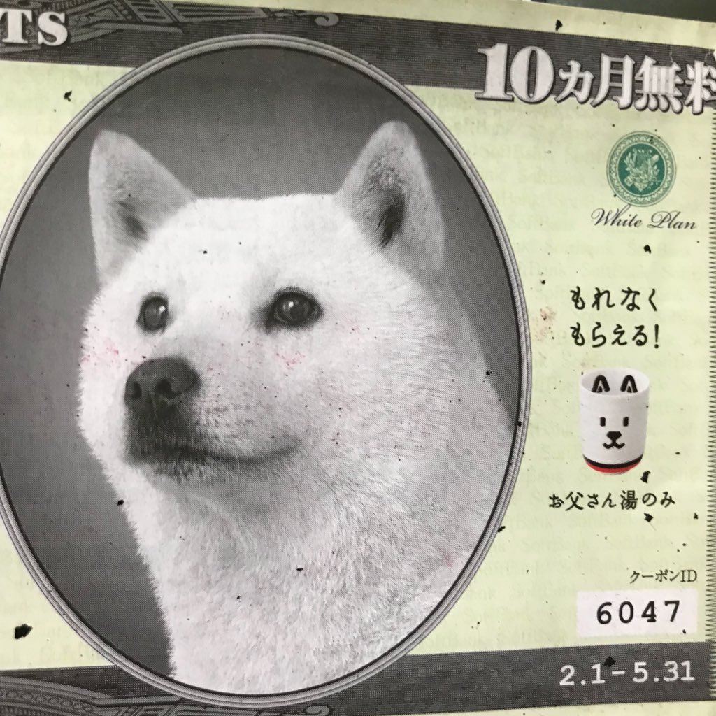 GYR0c0u3NIcKwLh's profile picture. Love and friend and family pice